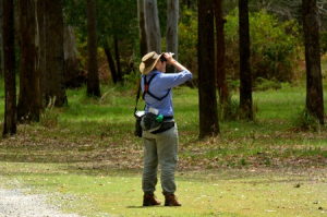 birdwatcher